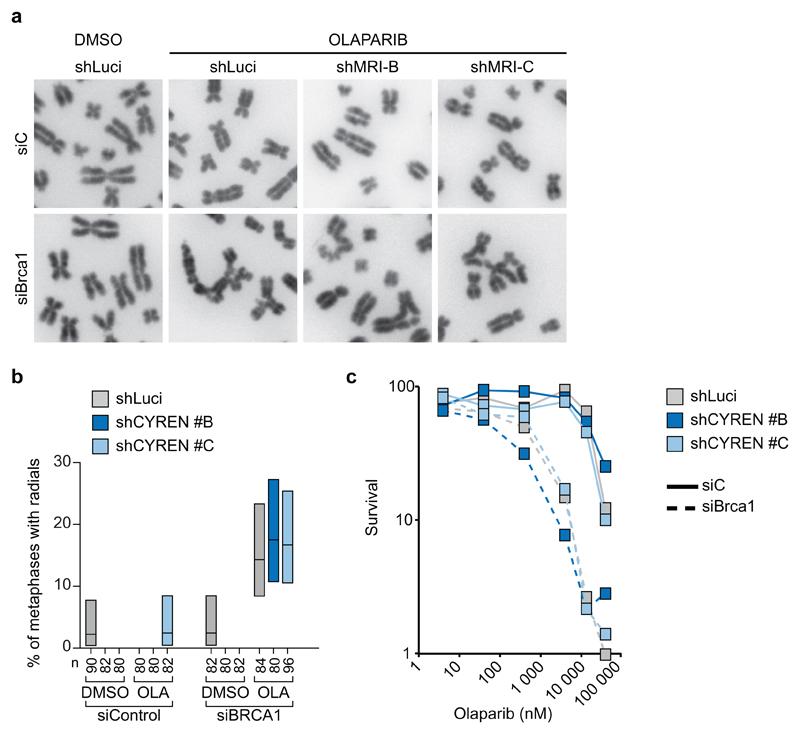 https://cdn.ncbi.nlm.nih.gov/pmc/blobs/5e60/5624508/7b9255e312d6/emss-73757-f009.jpg