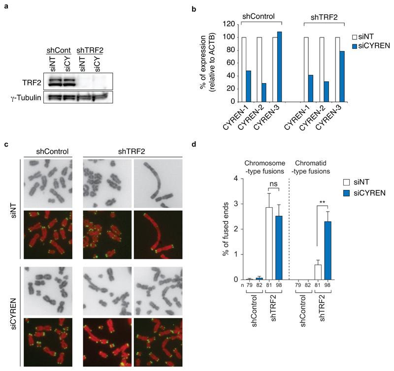 https://cdn.ncbi.nlm.nih.gov/pmc/blobs/5e60/5624508/d7d93e7d3f7f/emss-73757-f006.jpg