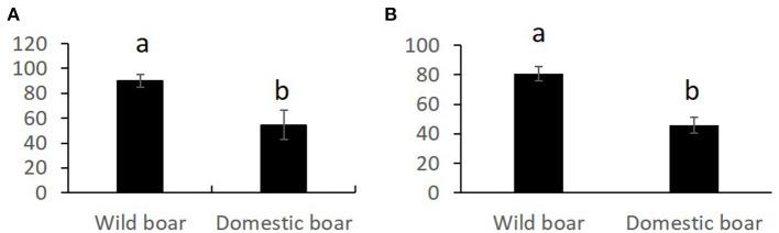 https://cdn.ncbi.nlm.nih.gov/pmc/blobs/5e60/8195250/e4bf9ca20c68/fvets-08-650946-g0001.jpg