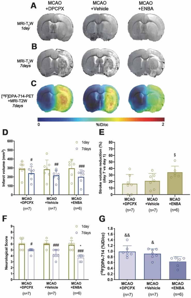 https://cdn.ncbi.nlm.nih.gov/pmc/blobs/5e63/7681082/2987d92c64ec/thnov11p0410g006.jpg