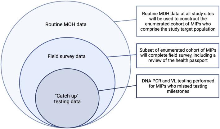 https://cdn.ncbi.nlm.nih.gov/pmc/blobs/5e66/12305895/4383ac8e21f2/43058_2025_762_Fig5_HTML.jpg