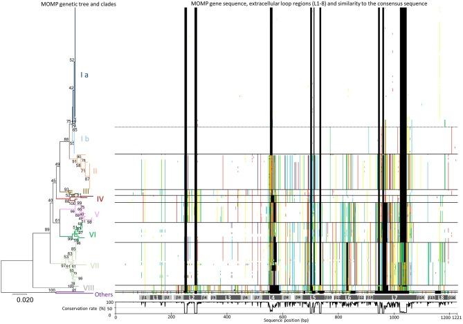 https://cdn.ncbi.nlm.nih.gov/pmc/blobs/5e69/6156380/0d9ba7f5a443/fvets-05-00221-g0001.jpg