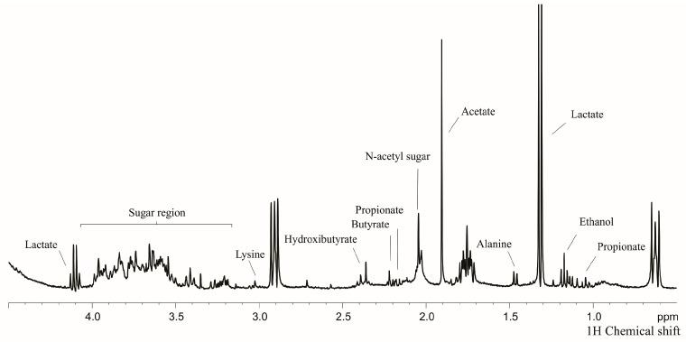 https://cdn.ncbi.nlm.nih.gov/pmc/blobs/5e6a/10058828/be80734bc365/metabolites-13-00445-g001.jpg