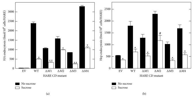 https://cdn.ncbi.nlm.nih.gov/pmc/blobs/5e6c/4390207/2728156967a2/IJCB2015-524707.005.jpg