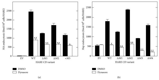 https://cdn.ncbi.nlm.nih.gov/pmc/blobs/5e6c/4390207/5dce66c32f4e/IJCB2015-524707.006.jpg