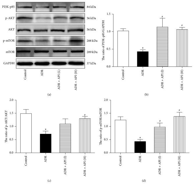 https://cdn.ncbi.nlm.nih.gov/pmc/blobs/5e6f/5480054/198cf3febb4e/ECAM2017-2590676.004.jpg
