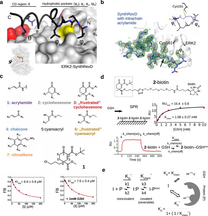 https://cdn.ncbi.nlm.nih.gov/pmc/blobs/5e73/11452651/2bf71f1123ca/41467_2024_52574_Fig1_HTML.jpg