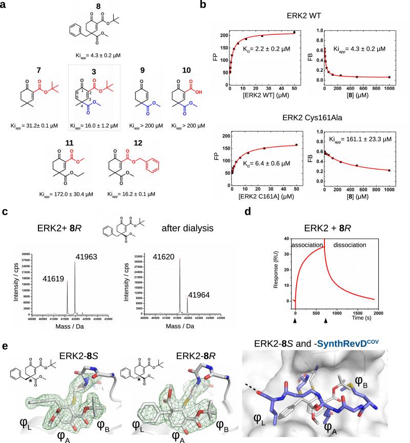 https://cdn.ncbi.nlm.nih.gov/pmc/blobs/5e73/11452651/72542414fe25/41467_2024_52574_Fig2_HTML.jpg