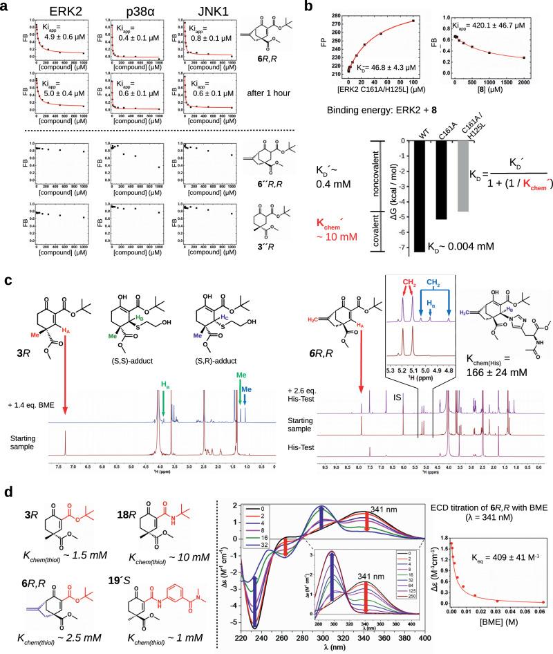 https://cdn.ncbi.nlm.nih.gov/pmc/blobs/5e73/11452651/8439302651a3/41467_2024_52574_Fig4_HTML.jpg