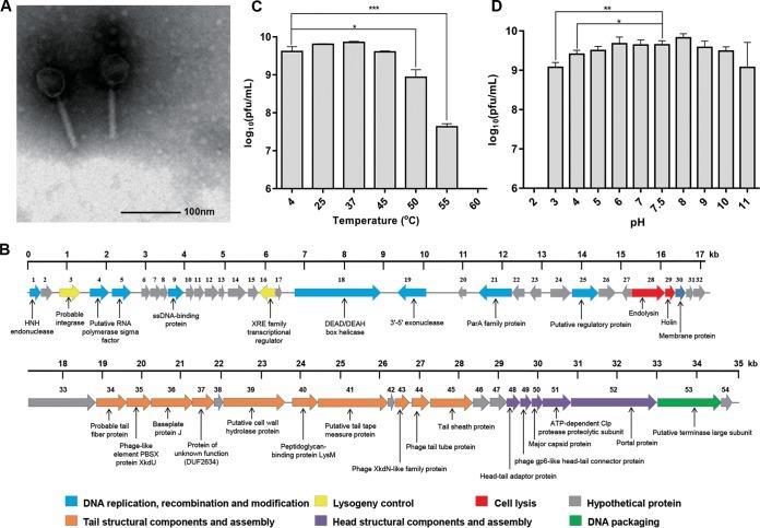 https://cdn.ncbi.nlm.nih.gov/pmc/blobs/5e74/7205517/383ea52b9879/mSystems.00017-20-f0001.jpg