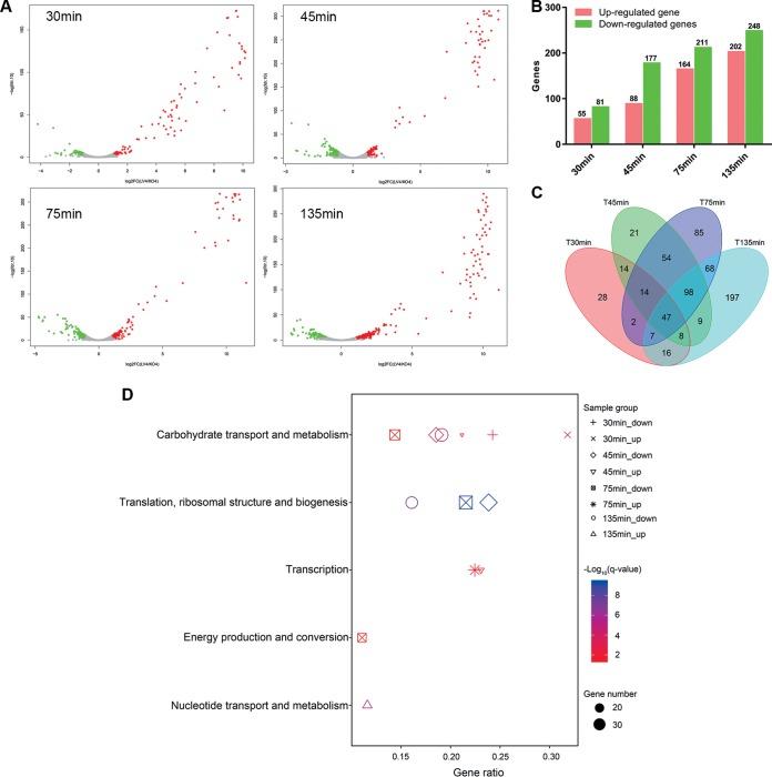 https://cdn.ncbi.nlm.nih.gov/pmc/blobs/5e74/7205517/89219a83b559/mSystems.00017-20-f0007.jpg