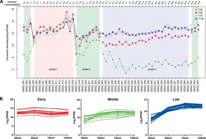 https://cdn.ncbi.nlm.nih.gov/pmc/blobs/5e74/7205517/b4c416232e34/mSystems.00017-20-f0006.jpg