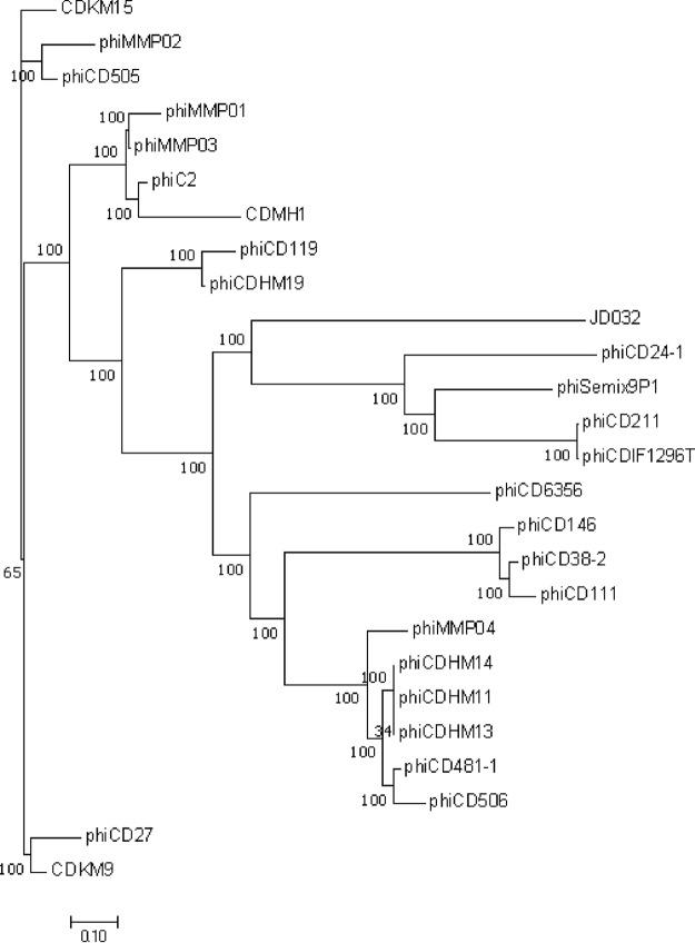 https://cdn.ncbi.nlm.nih.gov/pmc/blobs/5e74/7205517/d328f025175c/mSystems.00017-20-f0002.jpg