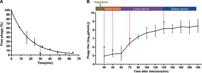 https://cdn.ncbi.nlm.nih.gov/pmc/blobs/5e74/7205517/d89bd7a4502d/mSystems.00017-20-f0004.jpg