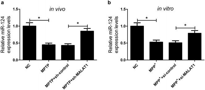 https://cdn.ncbi.nlm.nih.gov/pmc/blobs/5e77/5401610/29efb6707d33/13578_2017_147_Fig5_HTML.jpg