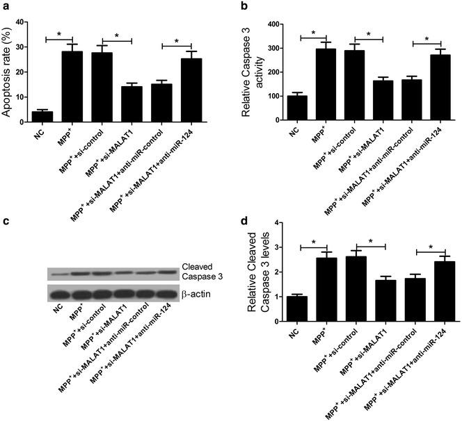 https://cdn.ncbi.nlm.nih.gov/pmc/blobs/5e77/5401610/40a67048ba44/13578_2017_147_Fig4_HTML.jpg