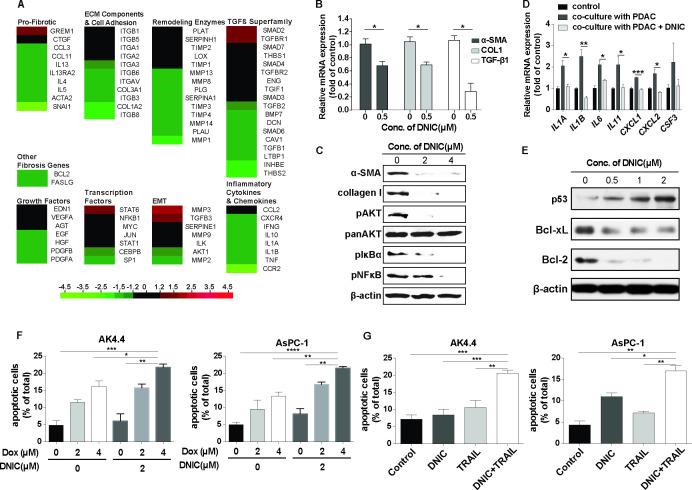 https://cdn.ncbi.nlm.nih.gov/pmc/blobs/5e77/9380514/a0350aee33a8/gutjnl-2021-325180f02.jpg