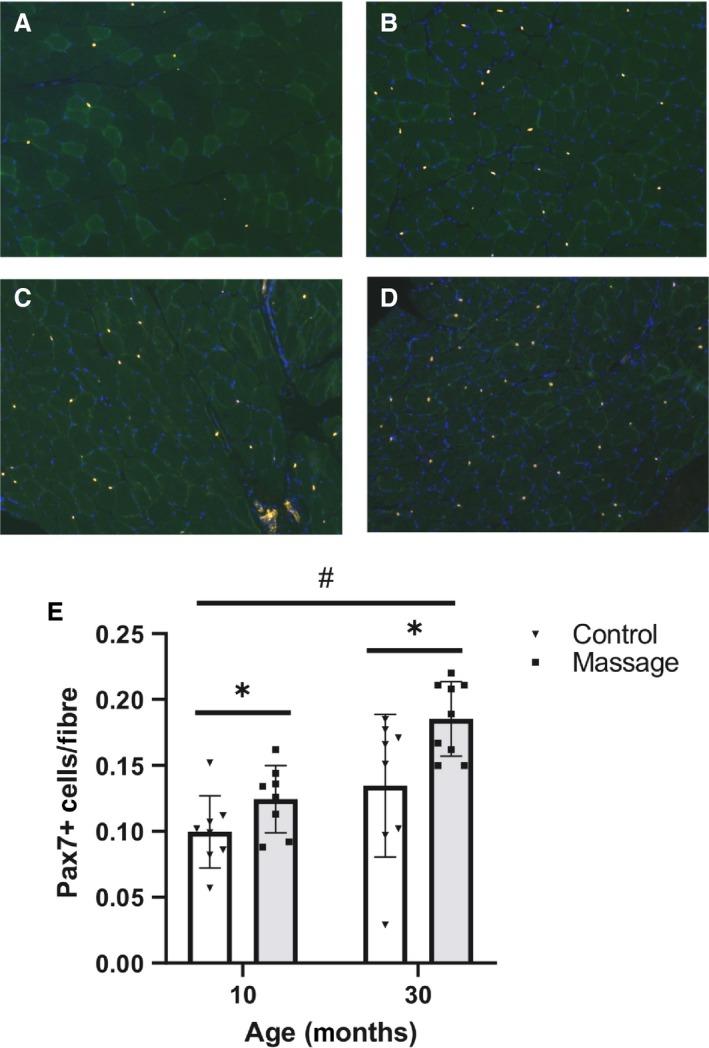 https://cdn.ncbi.nlm.nih.gov/pmc/blobs/5e7a/6732494/a0fe4fe8d97c/PHY2-7-e14200-g003.jpg