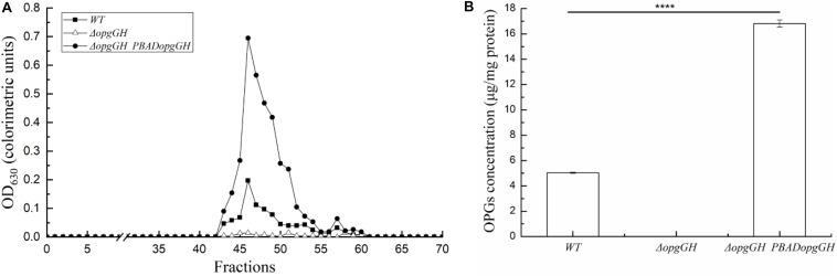 https://cdn.ncbi.nlm.nih.gov/pmc/blobs/5e7b/7013093/0d364c6b27cd/fmicb-11-00122-g002.jpg