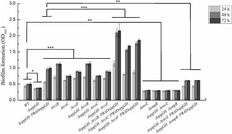 https://cdn.ncbi.nlm.nih.gov/pmc/blobs/5e7b/7013093/3ca3677fed61/fmicb-11-00122-g004.jpg