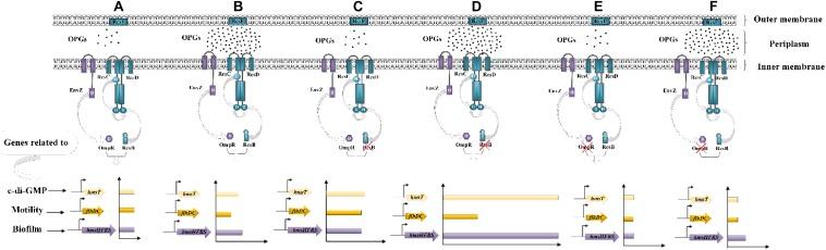 https://cdn.ncbi.nlm.nih.gov/pmc/blobs/5e7b/7013093/c7e21fe3e51a/fmicb-11-00122-g009.jpg