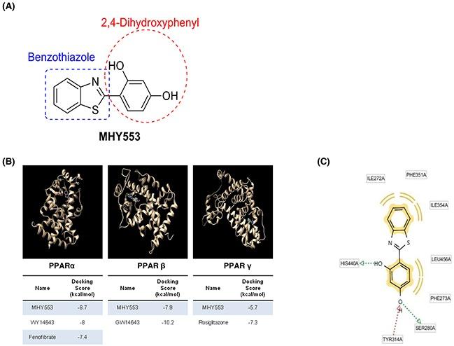 https://cdn.ncbi.nlm.nih.gov/pmc/blobs/5e7c/5542266/5dd6034a90e3/oncotarget-08-46273-g001.jpg