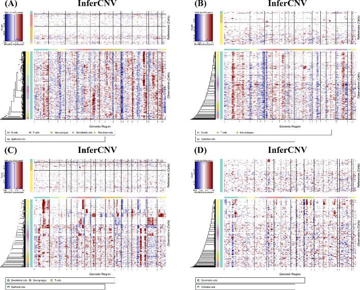 https://cdn.ncbi.nlm.nih.gov/pmc/blobs/5e7d/12158884/4f24ceed55b1/12672_2025_2905_Fig7_HTML.jpg