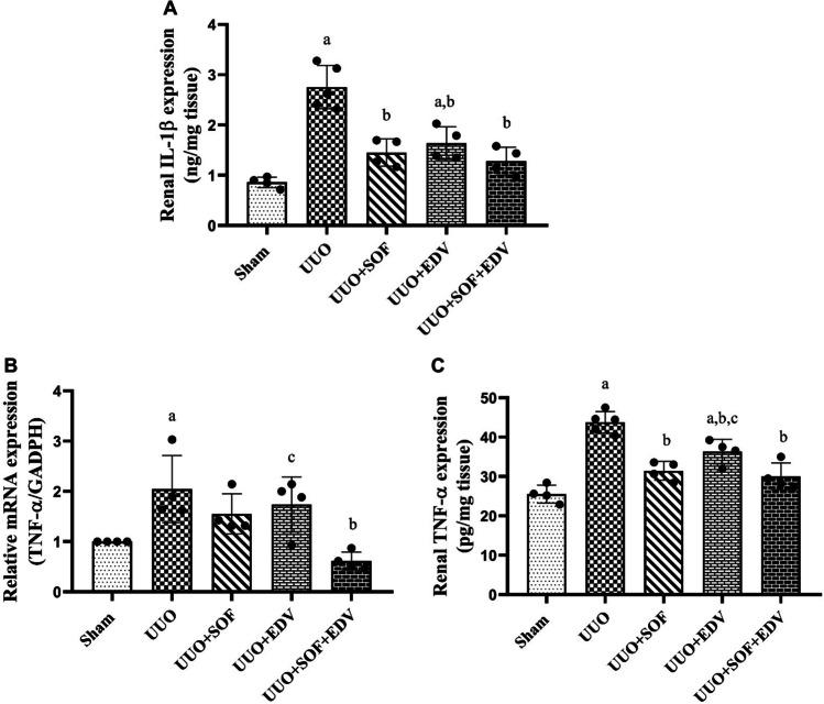https://cdn.ncbi.nlm.nih.gov/pmc/blobs/5e7e/11522075/018f8d7ca3d7/210_2024_3146_Fig7_HTML.jpg