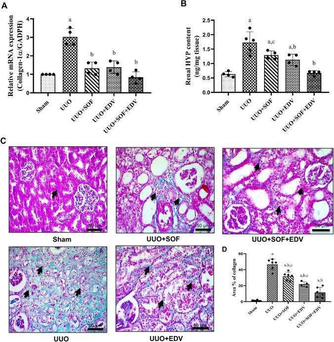 https://cdn.ncbi.nlm.nih.gov/pmc/blobs/5e7e/11522075/6eed55a929c3/210_2024_3146_Fig4_HTML.jpg