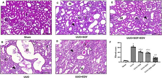 https://cdn.ncbi.nlm.nih.gov/pmc/blobs/5e7e/11522075/de4a16d48142/210_2024_3146_Fig3_HTML.jpg