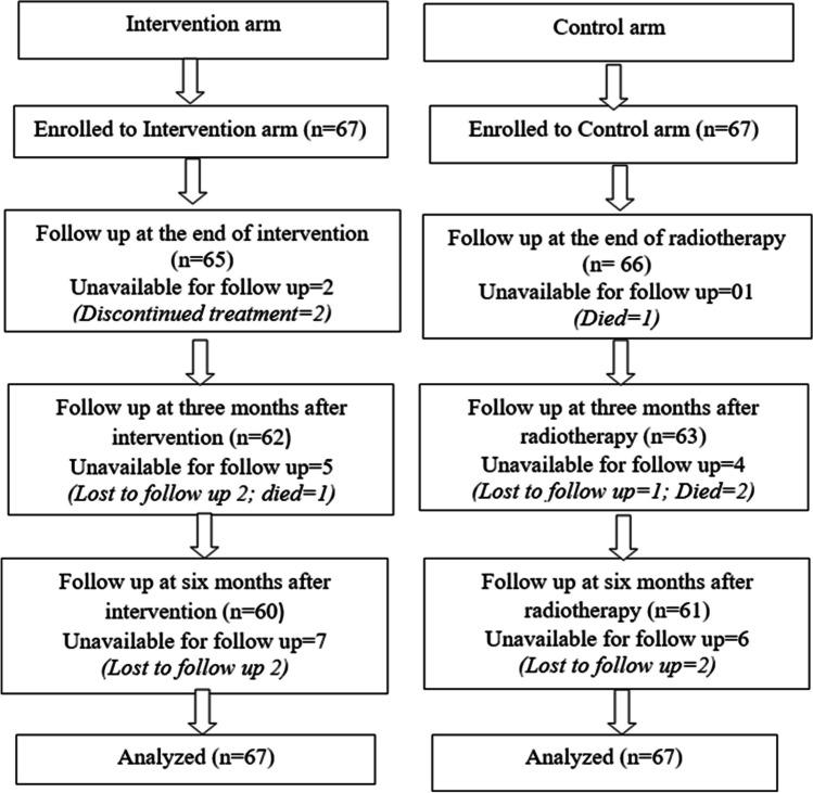 https://cdn.ncbi.nlm.nih.gov/pmc/blobs/5e7f/10917822/5054434d0b33/520_2024_8381_Fig1_HTML.jpg