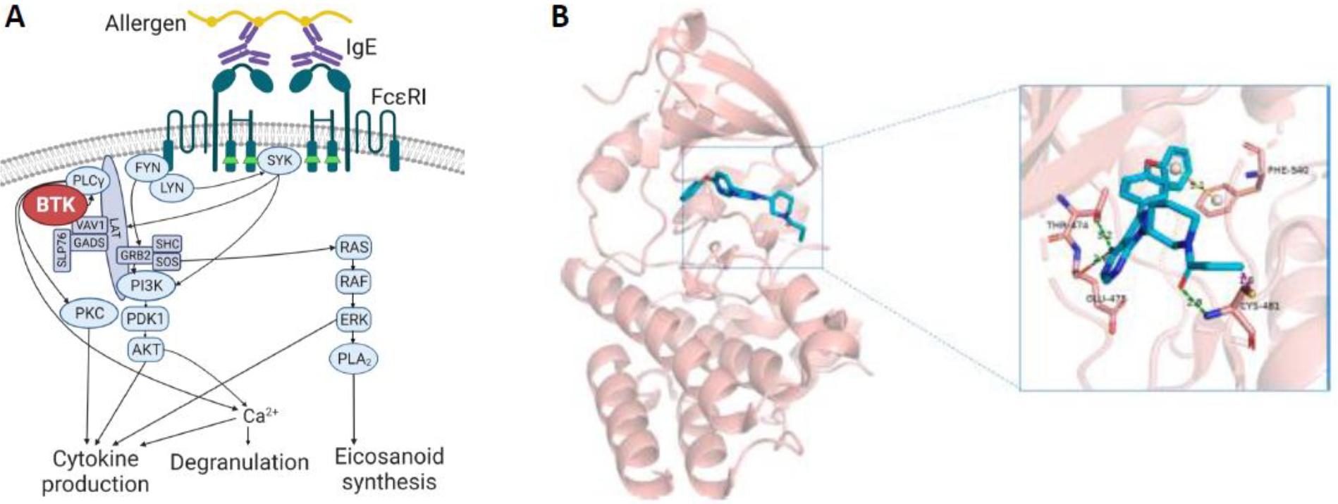 https://cdn.ncbi.nlm.nih.gov/pmc/blobs/5e80/11222055/28a1fc08c9b3/nihms-1977194-f0001.jpg