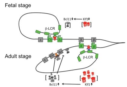 https://cdn.ncbi.nlm.nih.gov/pmc/blobs/5e82/3133499/f1aa35abb41b/pr-2011-2-e17-g005.jpg