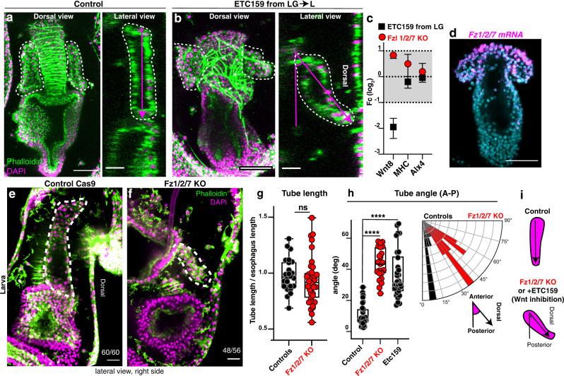 https://cdn.ncbi.nlm.nih.gov/pmc/blobs/5e83/10170166/9ff2438f50cb/41467_2023_37947_Fig5_HTML.jpg