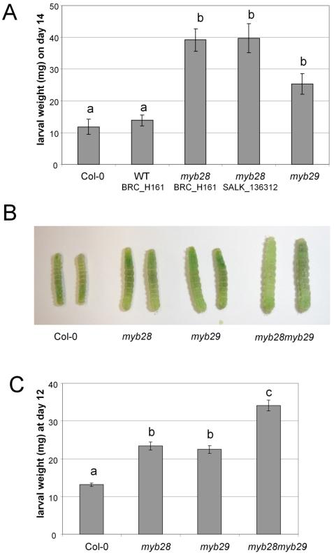 https://cdn.ncbi.nlm.nih.gov/pmc/blobs/5e84/2323576/f2072c904a58/pone.0002068.g007.jpg