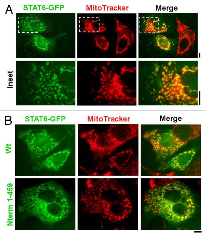 https://cdn.ncbi.nlm.nih.gov/pmc/blobs/5e85/3894245/60ba762e9a52/jkst-2-e24860-g6.jpg