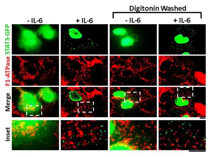 https://cdn.ncbi.nlm.nih.gov/pmc/blobs/5e85/3894245/a228143ed079/jkst-2-e24860-g5.jpg