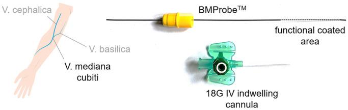 https://cdn.ncbi.nlm.nih.gov/pmc/blobs/5e88/12345868/7e4f6921b278/diagnostics-15-01876-g002.jpg