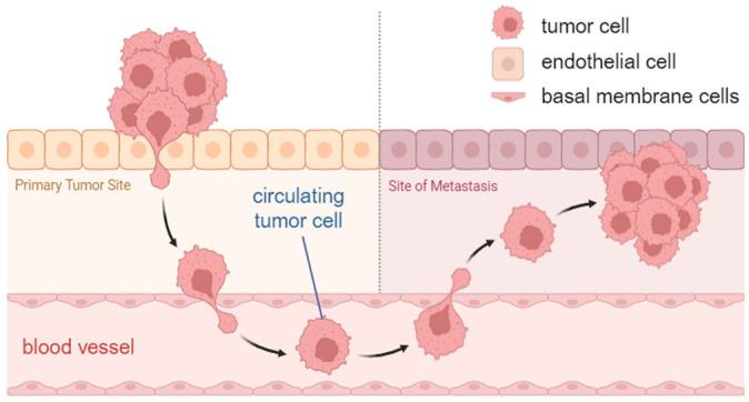 https://cdn.ncbi.nlm.nih.gov/pmc/blobs/5e88/12345868/a4ffc767bf6b/diagnostics-15-01876-g001.jpg