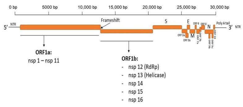 https://cdn.ncbi.nlm.nih.gov/pmc/blobs/5e88/9887598/553aef127c6c/antibodies-12-00005-g001.jpg