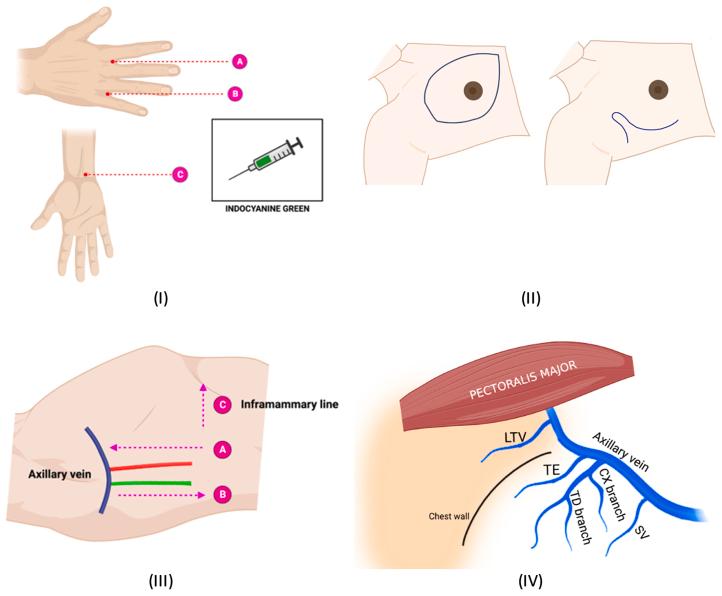 https://cdn.ncbi.nlm.nih.gov/pmc/blobs/5e89/11523392/0c1a8d8868e2/gr1.jpg