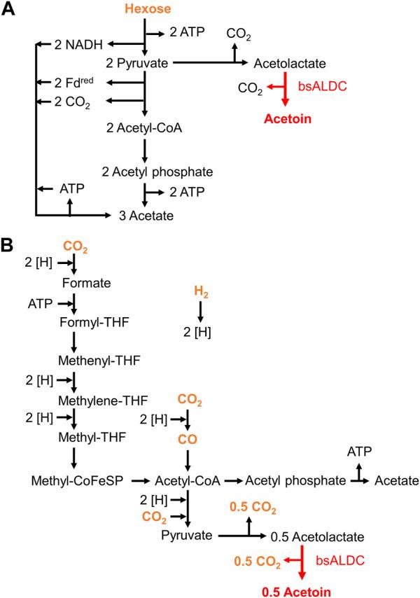 https://cdn.ncbi.nlm.nih.gov/pmc/blobs/5e8a/11133584/79a0276dd4e8/fbioe-12-1398467-g001.jpg