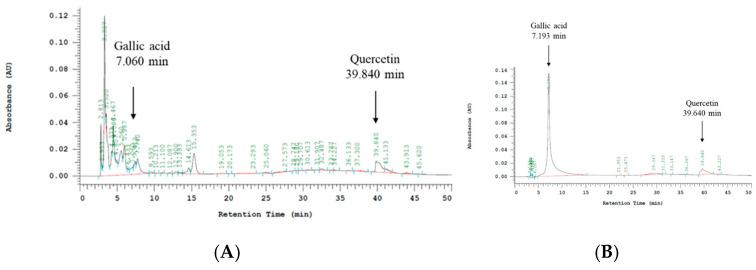 https://cdn.ncbi.nlm.nih.gov/pmc/blobs/5e8a/11593982/2d51605fe1a3/ijms-25-12096-g009.jpg