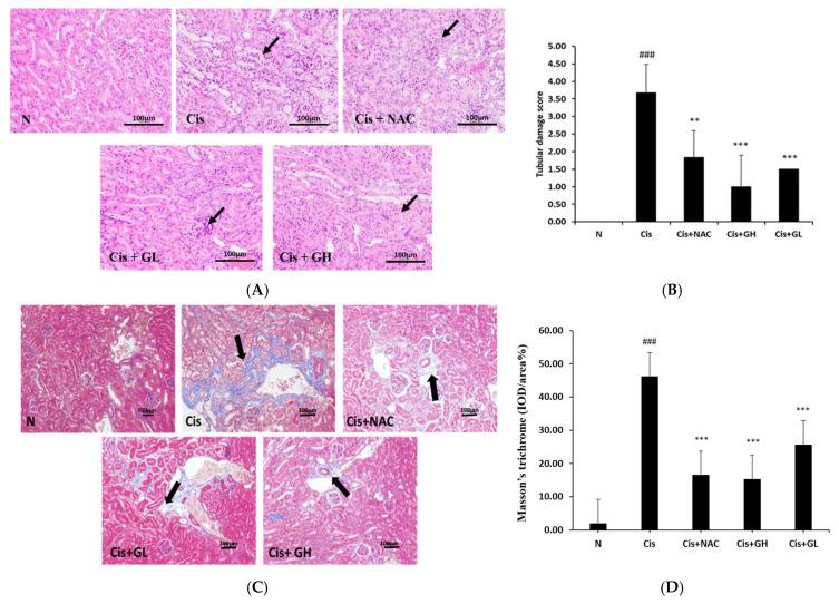 https://cdn.ncbi.nlm.nih.gov/pmc/blobs/5e8a/11593982/7fa4b63586e9/ijms-25-12096-g002.jpg