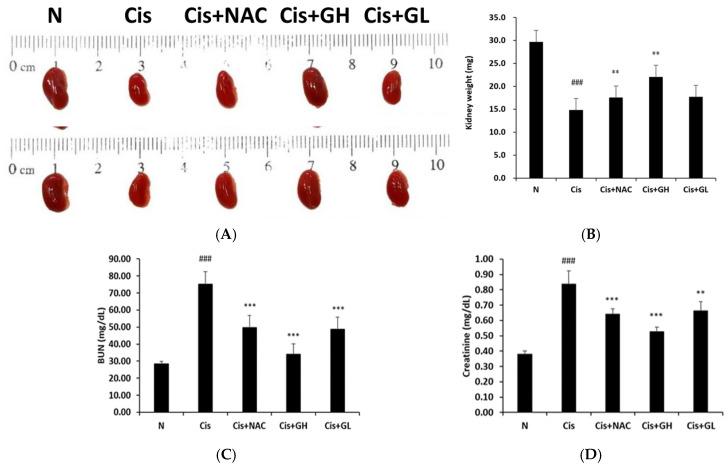 https://cdn.ncbi.nlm.nih.gov/pmc/blobs/5e8a/11593982/f1c9910254b4/ijms-25-12096-g001.jpg