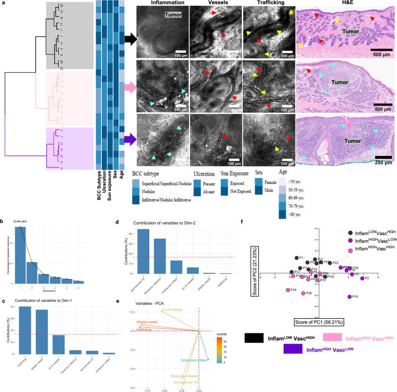 https://cdn.ncbi.nlm.nih.gov/pmc/blobs/5e8a/9463451/0d977de66ef1/41467_2022_32738_Fig2_HTML.jpg