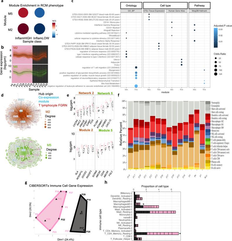 https://cdn.ncbi.nlm.nih.gov/pmc/blobs/5e8a/9463451/44da2313c58a/41467_2022_32738_Fig3_HTML.jpg