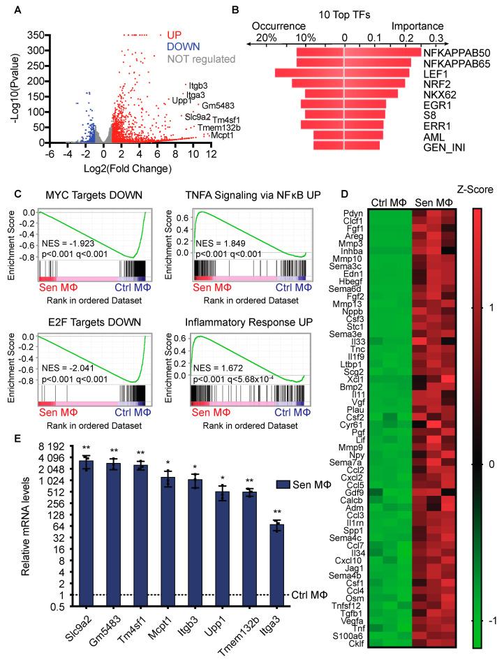 https://cdn.ncbi.nlm.nih.gov/pmc/blobs/5e8d/11118806/648b58b333e7/biomedicines-12-01089-g002.jpg