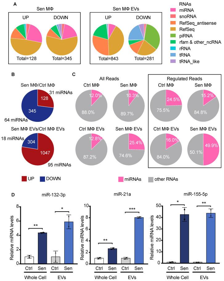 https://cdn.ncbi.nlm.nih.gov/pmc/blobs/5e8d/11118806/84b1684b2873/biomedicines-12-01089-g004.jpg