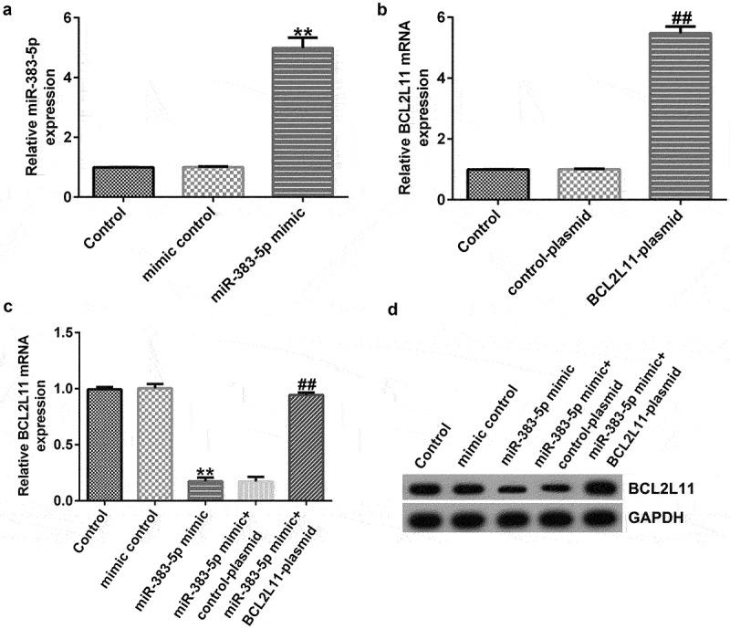https://cdn.ncbi.nlm.nih.gov/pmc/blobs/5e8d/9276002/acc0e04413ed/KBIE_A_2080412_F0006_B.jpg